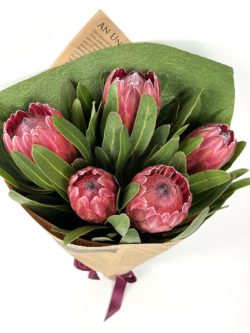 Our Queensland Grown Protea Bouquet
