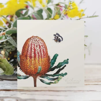 Card - Banksia Menzies