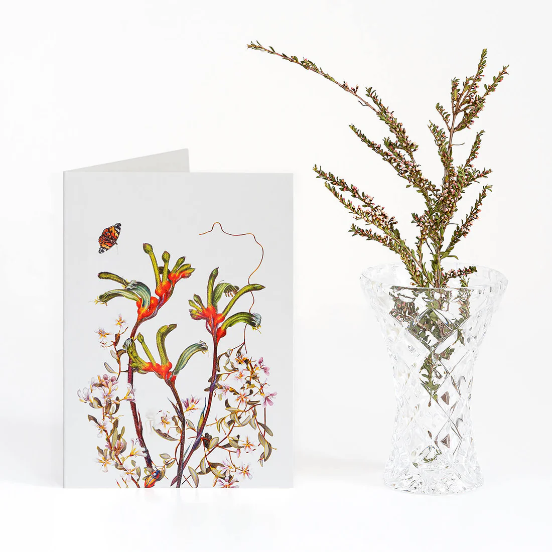 Card - Kangaroo Paw