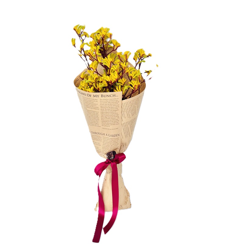 Golden Paw - Image 5