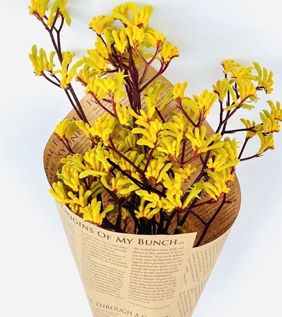 Golden Paw - Image 2